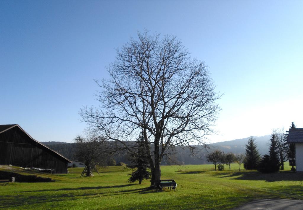 Gasthof-Pension-Kraus Achslach ภายนอก รูปภาพ